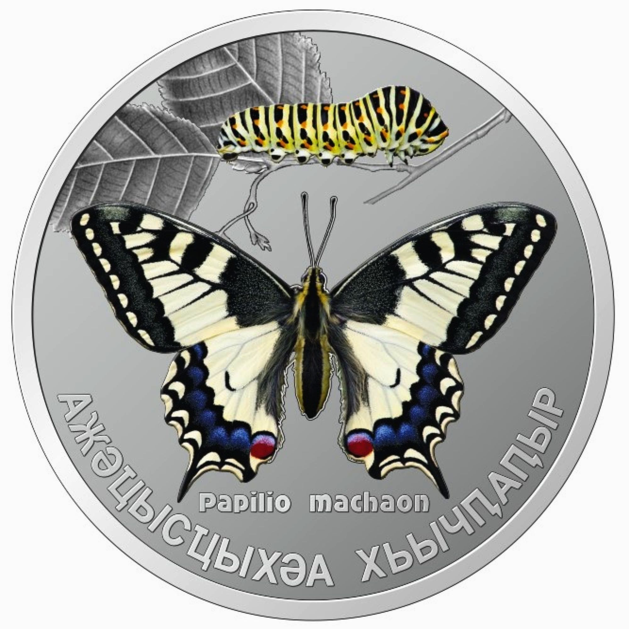 Реверс «Махаон»