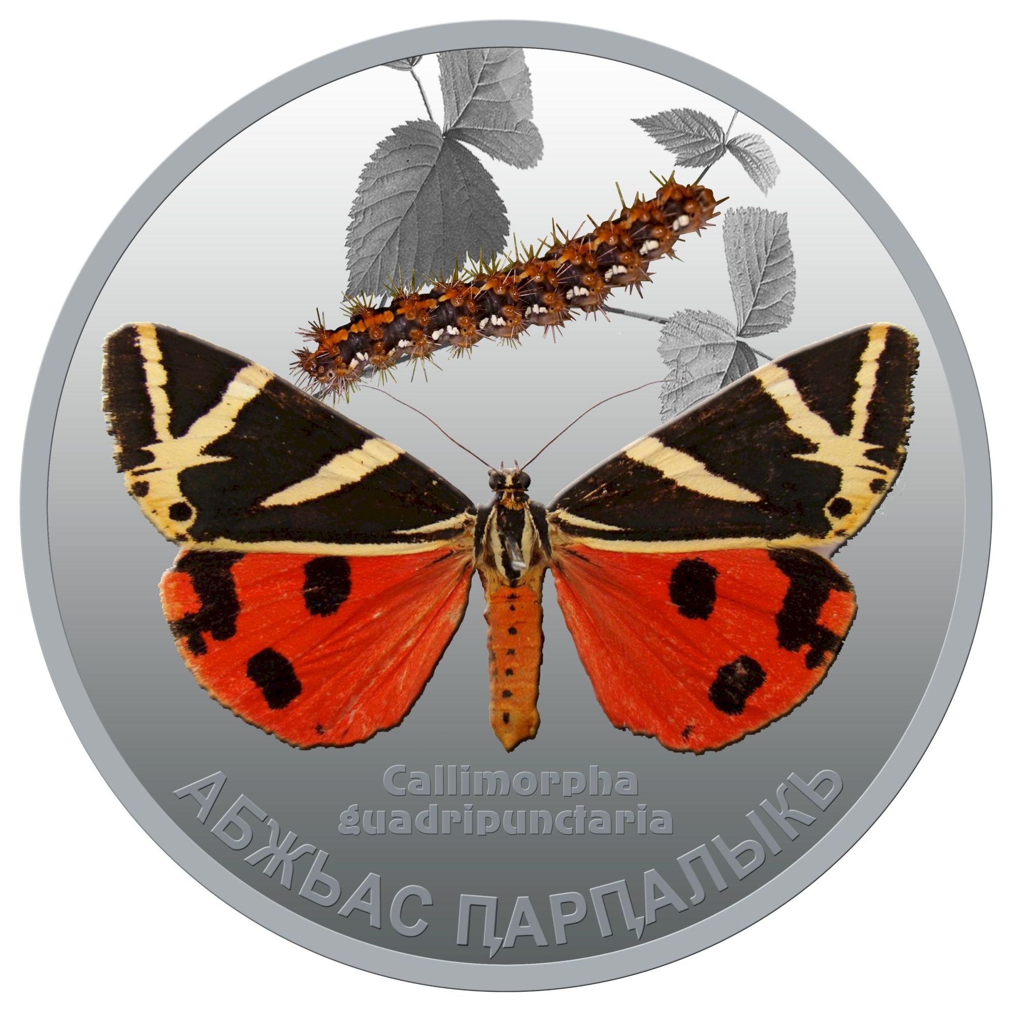 Реверс «Медведица Гера»