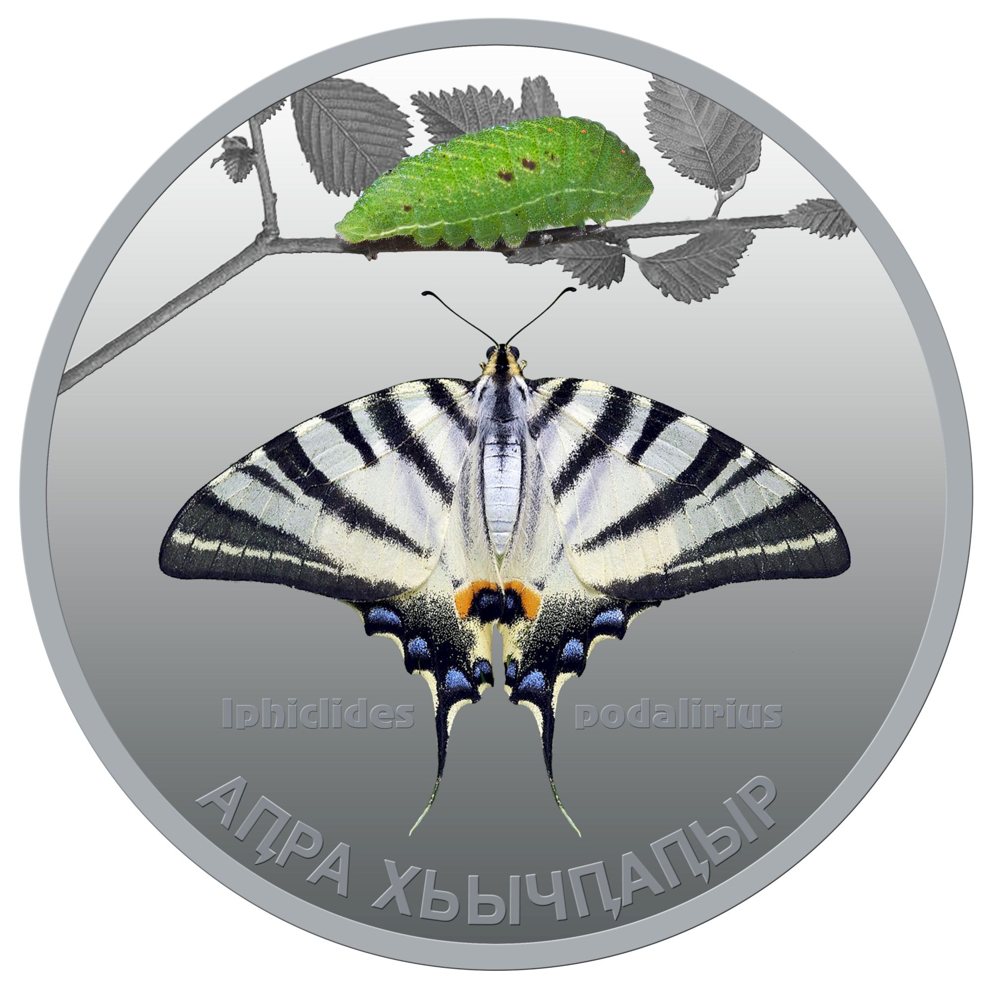 Реверс «Подалирий»