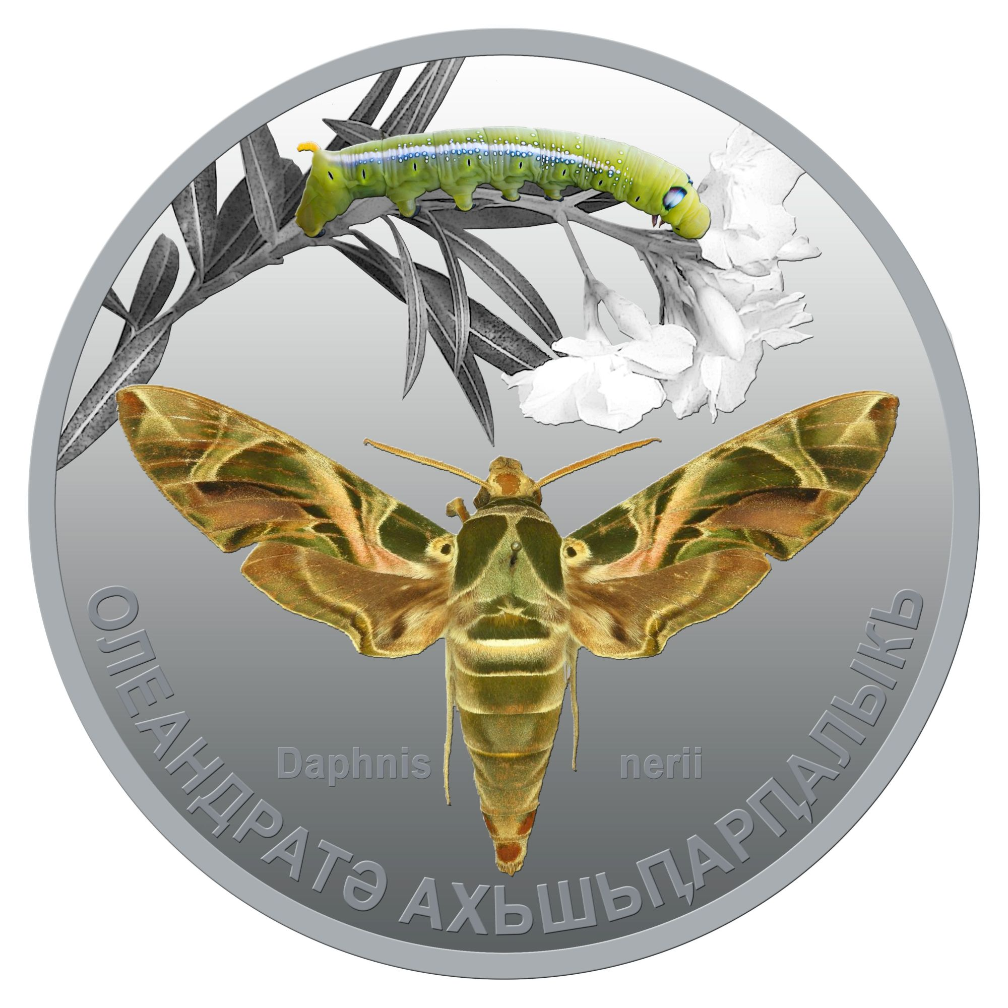 «Бражник олеандровый»